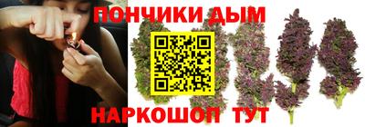 шишки Бузулук