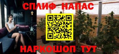 шишки Бузулук