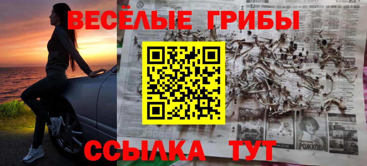 Химки  купить наркотики цена  Вход с VPN  Псилоцибиновые грибы Magic Shrooms 