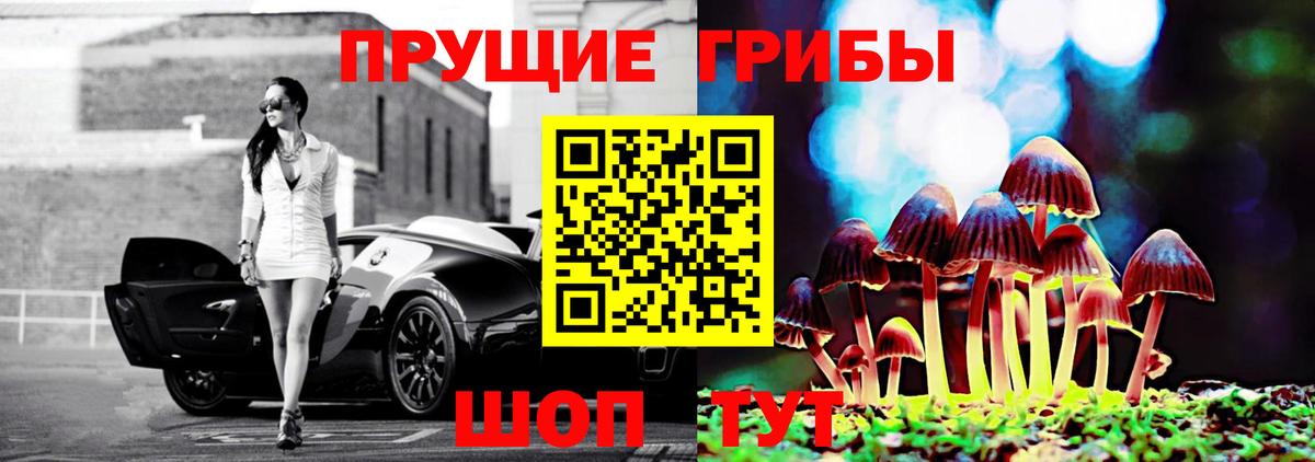 Галлюциногенные грибы Psilocybine cubensis Химки